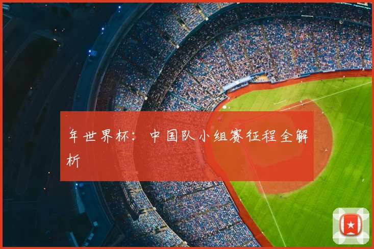 年世界杯：中国队小组赛征程全解析