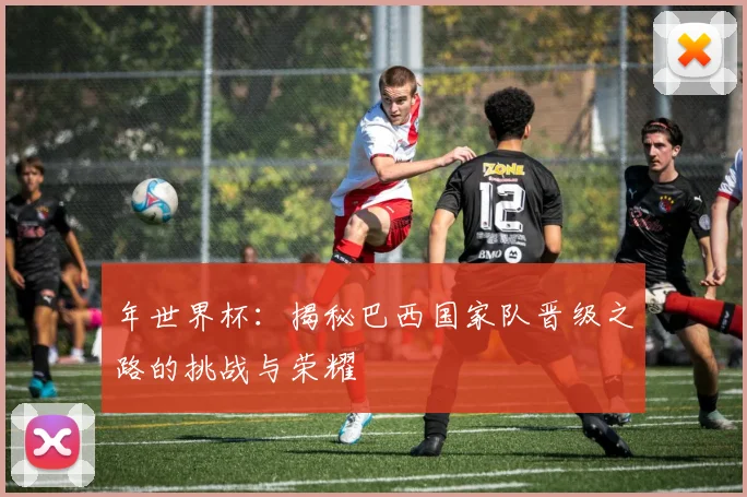 年世界杯：揭秘巴西国家队晋级之路的挑战与荣耀