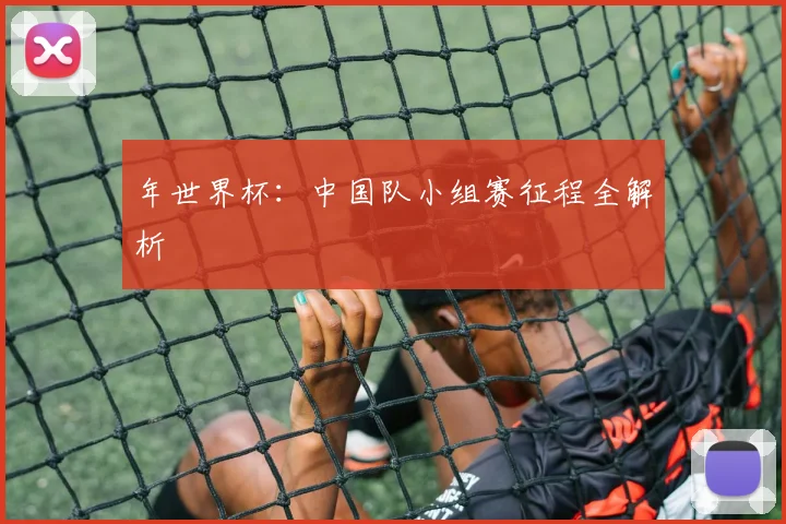 年世界杯：中国队小组赛征程全解析