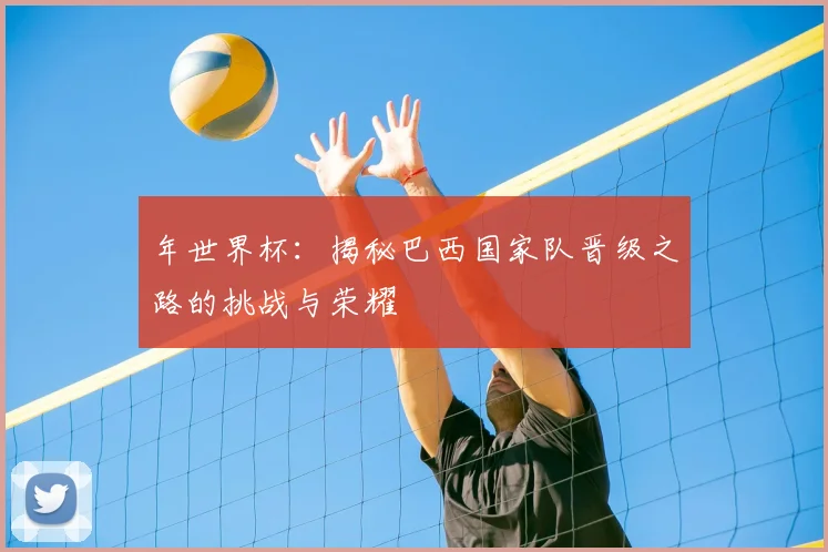 年世界杯：揭秘巴西国家队晋级之路的挑战与荣耀